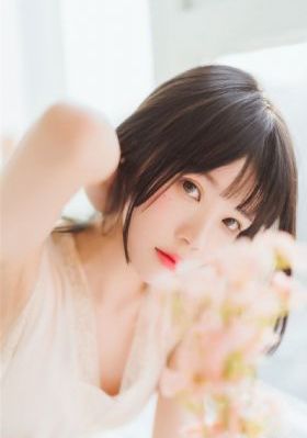 花园宝宝免费观看全集_DVD完整版观看